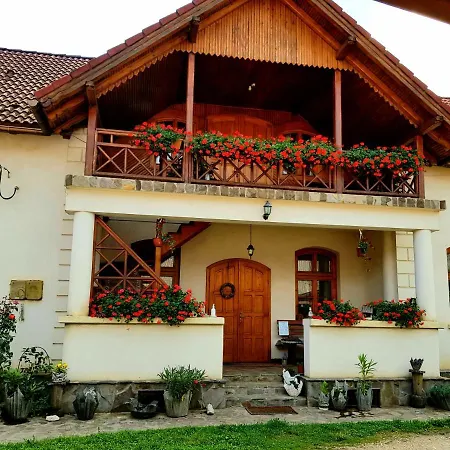 Eniko Vendeghaz Bed & Breakfast Cernat